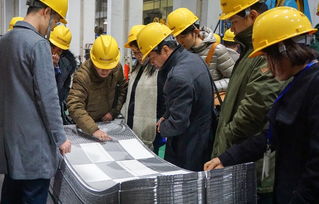 技術(shù)賦能產(chǎn)業(yè)升級(jí) 中石化上海工程醫(yī)藥食品專(zhuān)家團(tuán)蒞臨艾克森工廠開(kāi)展技術(shù)咨詢(xún)交流